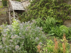 somuchborage