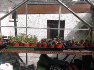 propagating bench