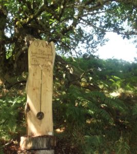 carved wooden slab under a tree, engraved with poem