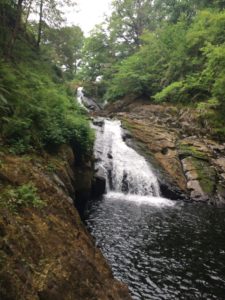 cascade at Swallow Falls