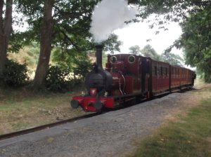 train on narrow gauge railway, Tallyllyn