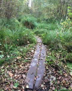 replica of Iron Age track