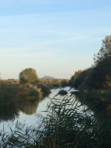 avalon marsh south drain Glastonbury Tor in distance