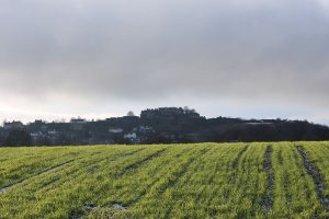 distant castle