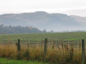 looking across the fields to a line of trees, and a hill behind
