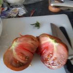 tomato cut in half