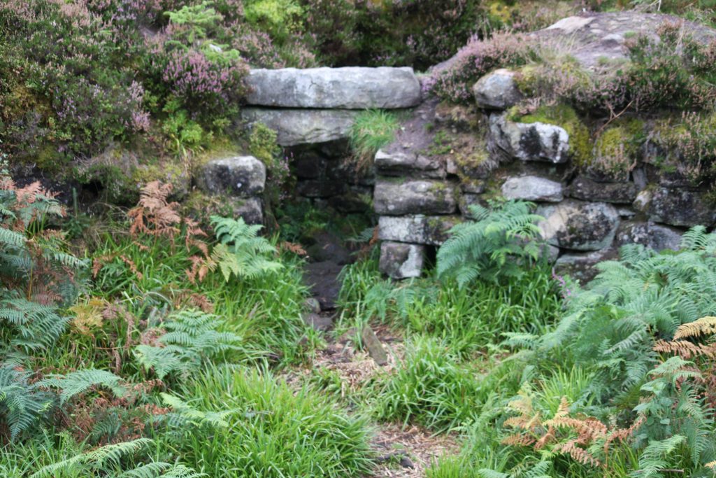 stone archway overgrown with heather and fern