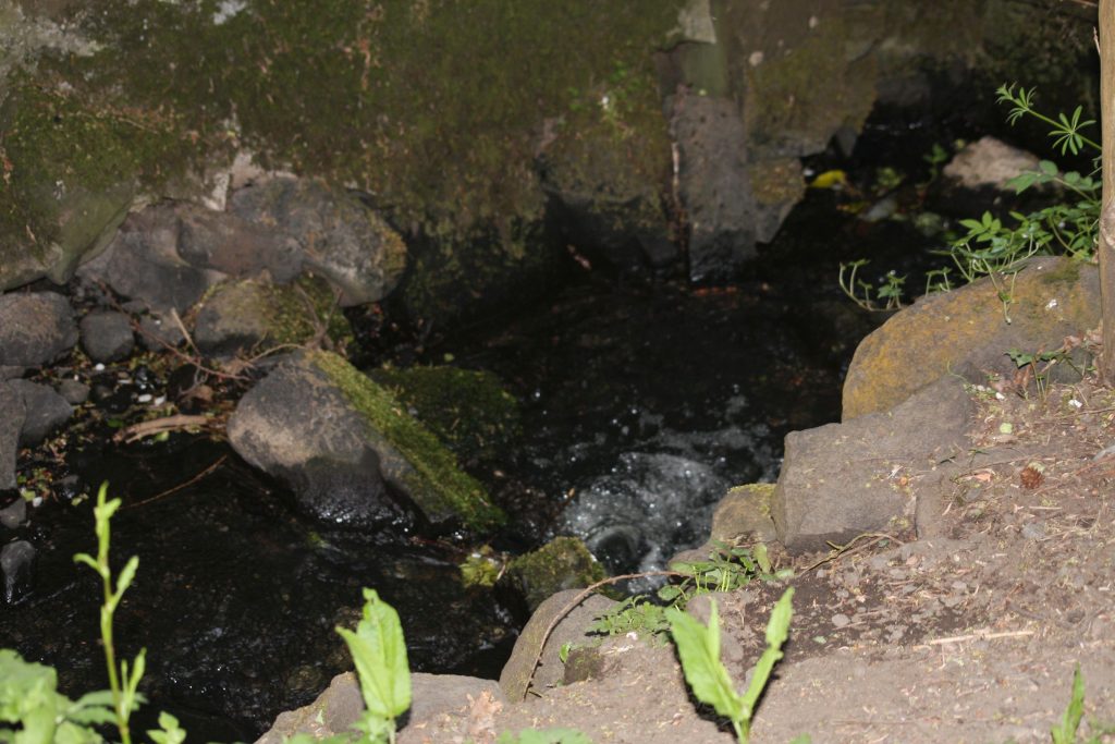 A narrow dark burn cascading over rocks