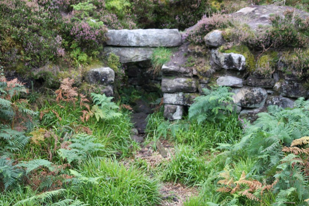 a stone arch overgrown with heather and grass