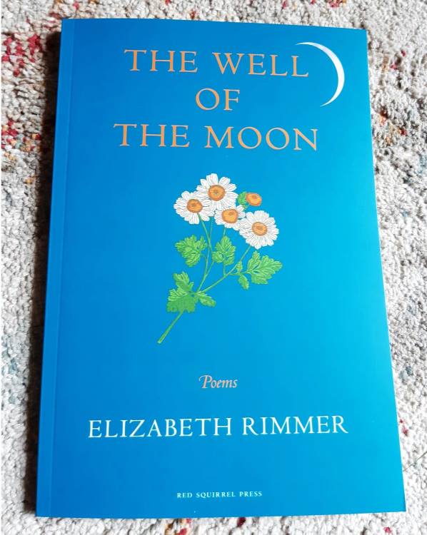 cover of The Well of the Moon, deep blue with a crescent moon and feverfew
