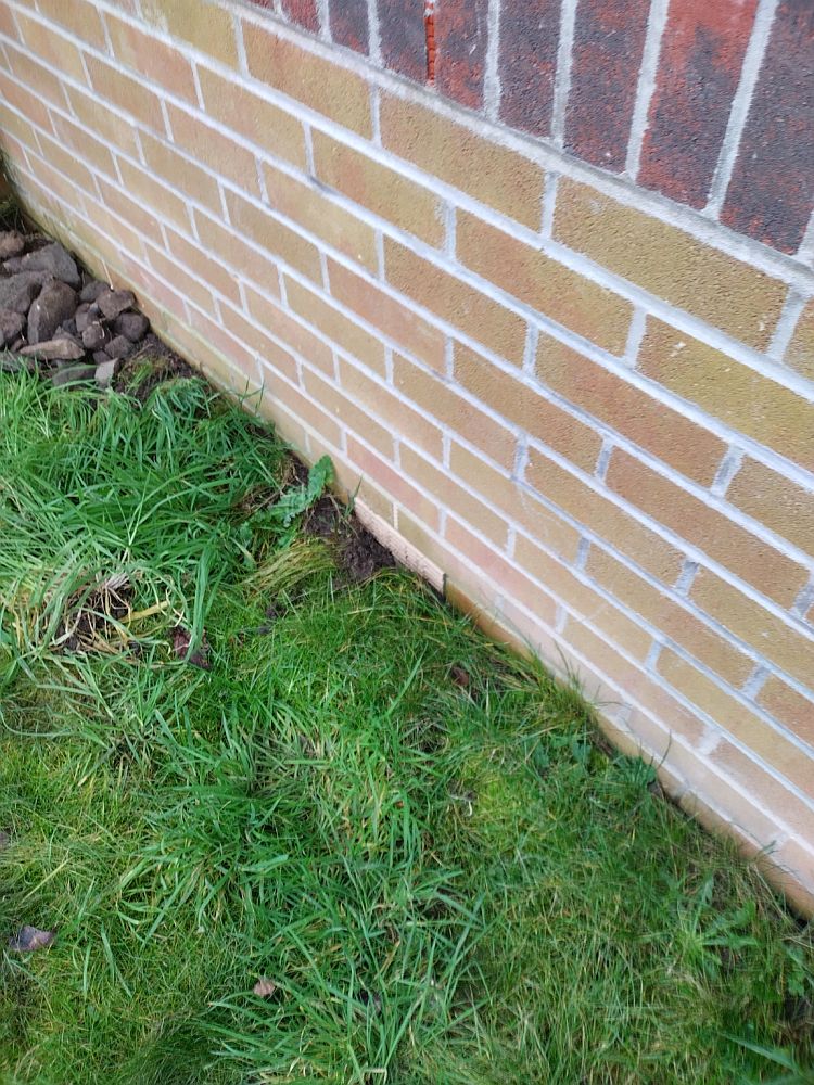 grass growing up to a brick wall, in which you can just see the vent, almost buried