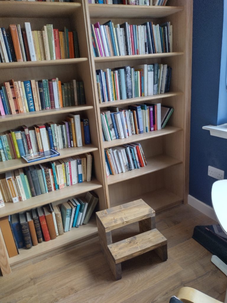 oak library shelves against a dark blue wall. Heavy steps in front