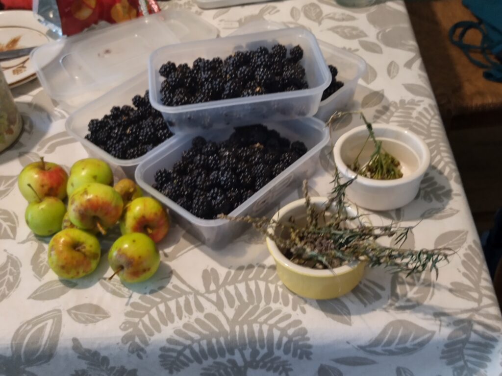 a table with some tubs of blackberries, a heap of small wild apples two bowls of seedheads